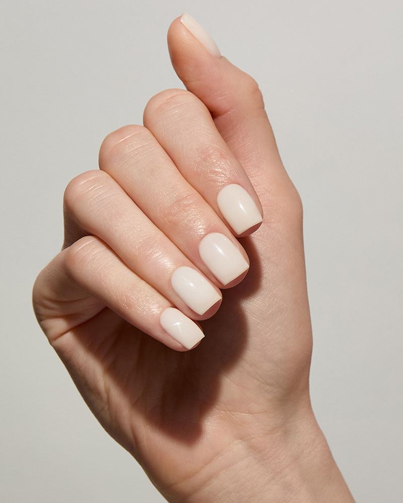 Meringue Hema-Free Meringue Hema-Free