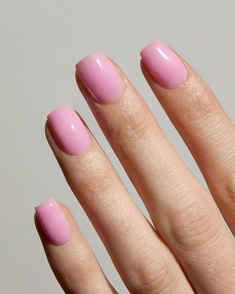 Rose Hema-Free Rose Hema-Free